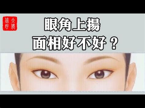 眼尾上揚面相女|面相｜4大特徵看你有無老細命!眼尾向上執行力高、這 